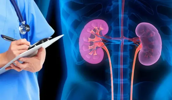  Precio de Consulta de Trasplante Renal en Culiacán, Sinaloa
